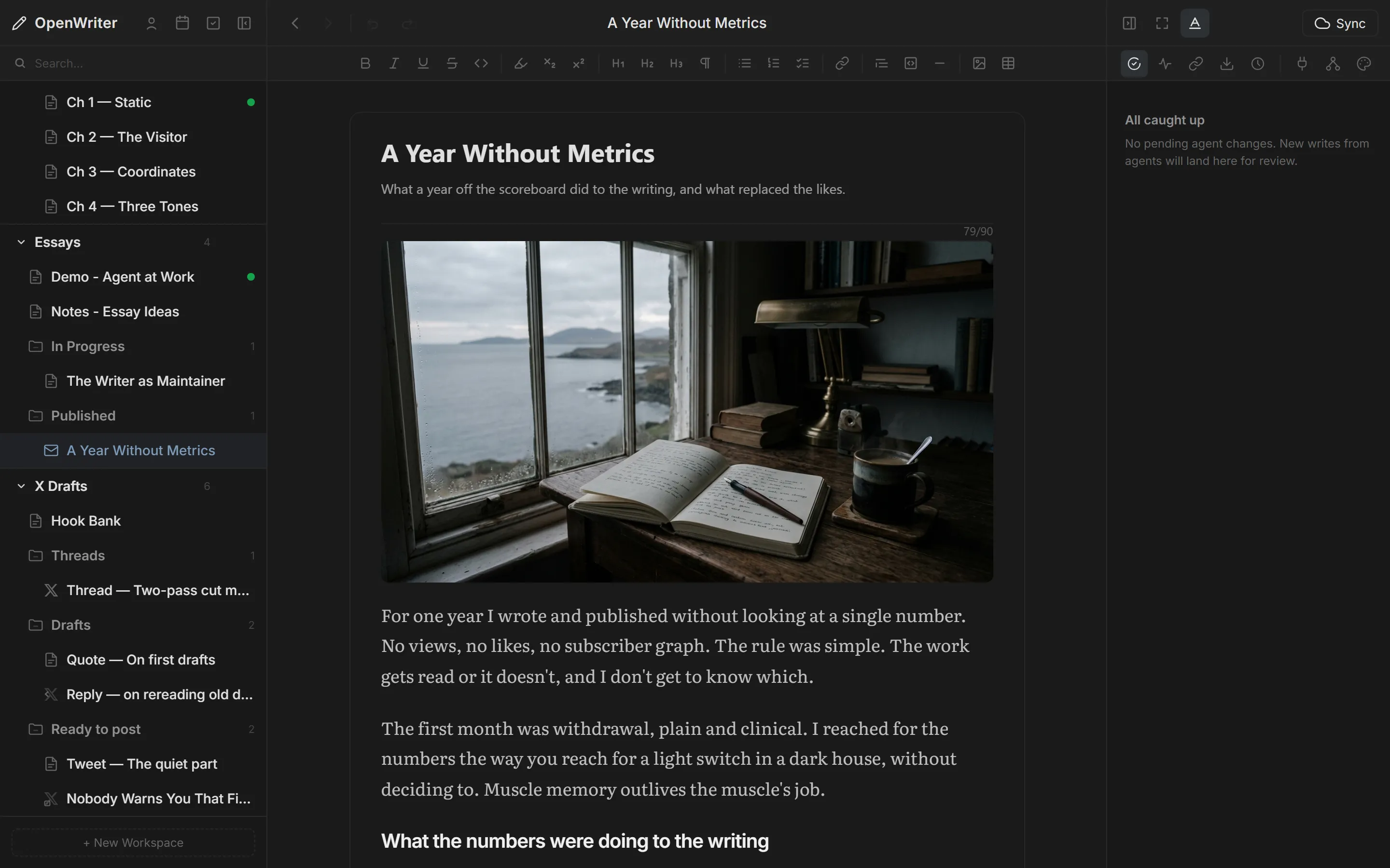OpenWriter newsletter draft with subject, preview text, and WYSIWYG email preview
