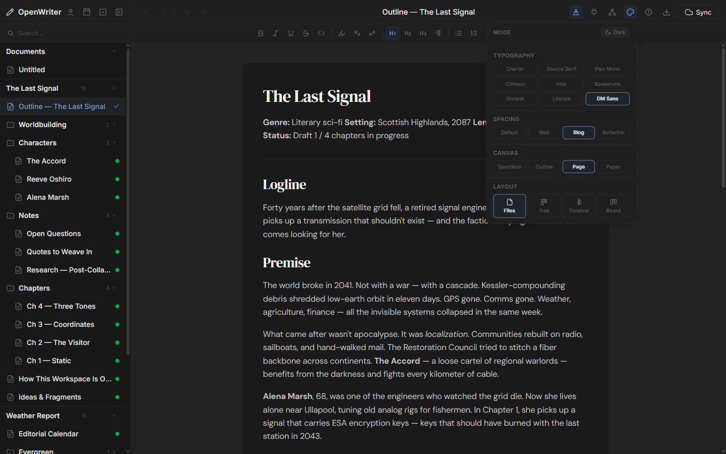 OpenWriter bookwriting view with chapter outline in a workspace