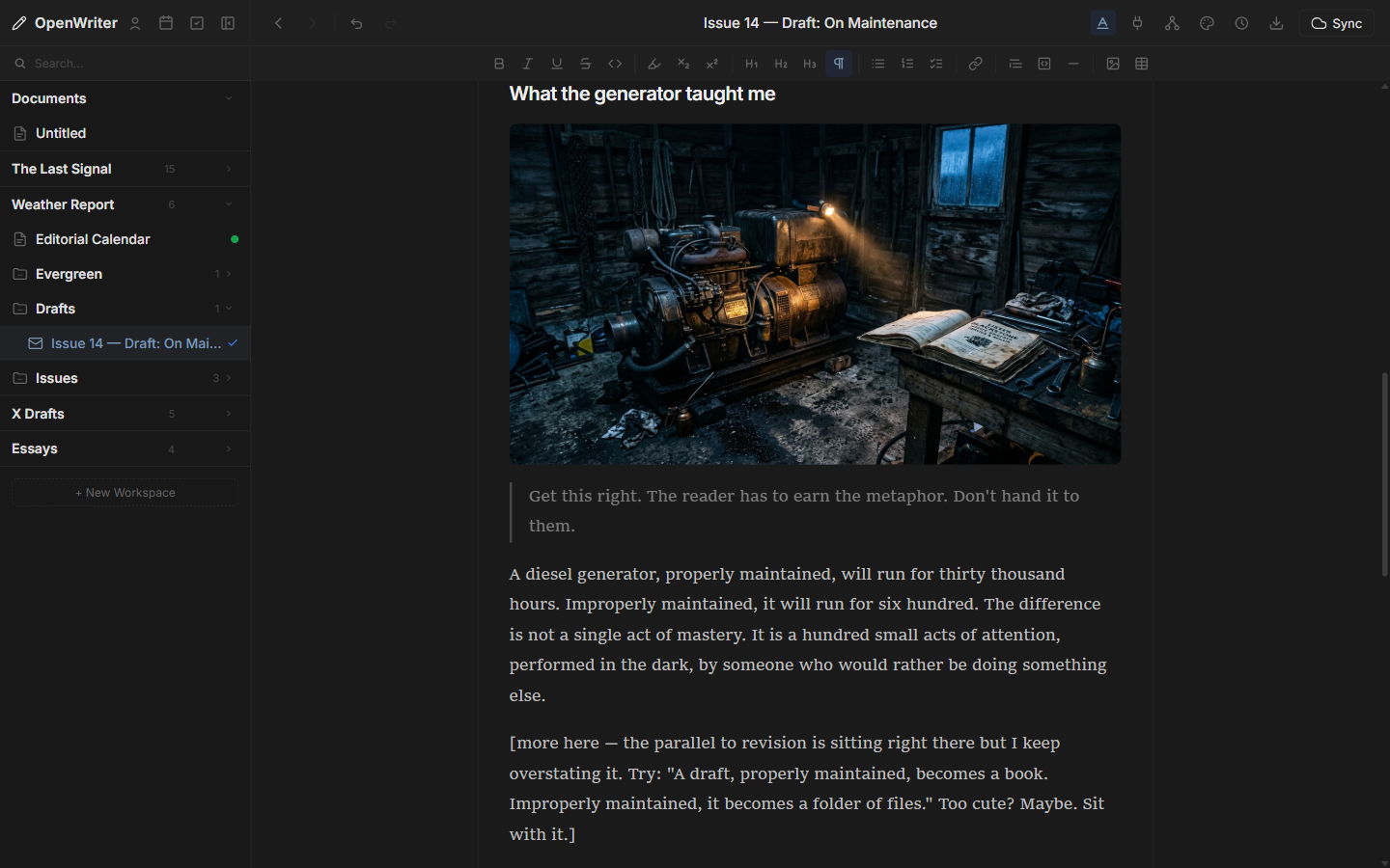 OpenWriter newsletter draft with inline image and style presets